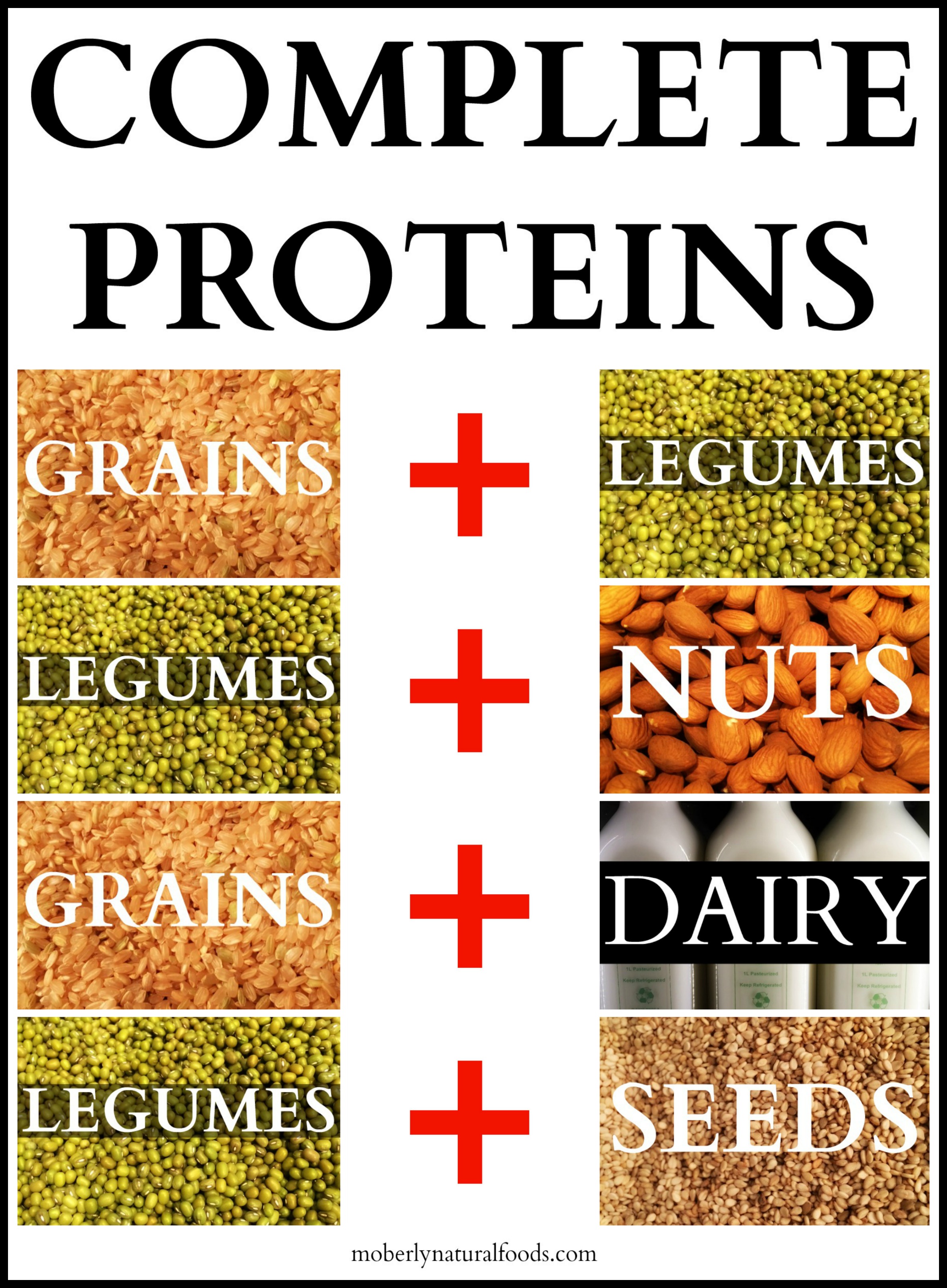 the-good-protein-chart-for-healthy-lifestyle-you-must-know